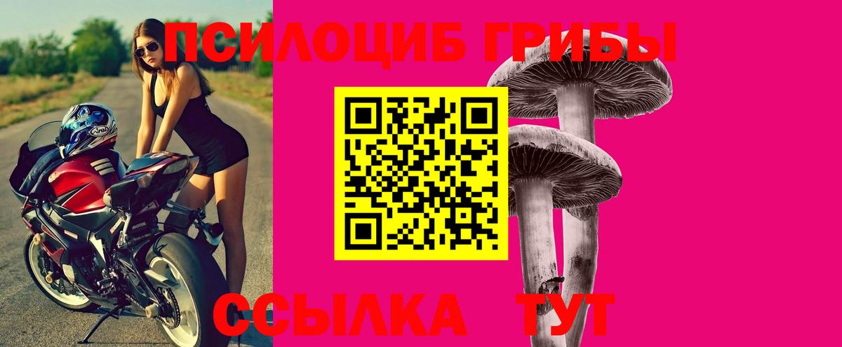 Псилоцибиновые грибы мухоморы  Псилоцибиновые грибы Cubensis  Вход с VPN  Междуреченск 