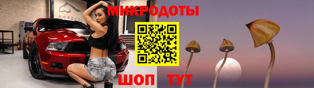 Галлюциногенные грибы MAGIC MUSHROOMS Междуреченск
